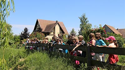 Stohrenschule Impressionen