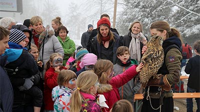 Stohrenschule Impressionen